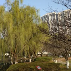 Taicang Botanical Garden - Taicang