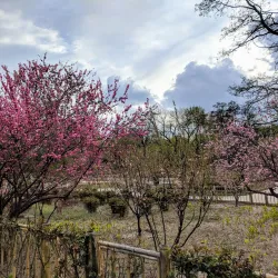 Yingze Park - Taiyuan