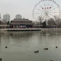 Tianjin Water Park - Tianjin