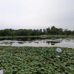 Tianjin Water Park - Tianjin