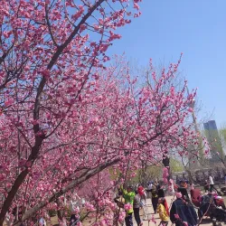 Tianjin Water Park - Tianjin