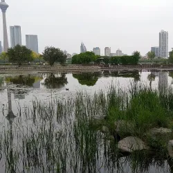 Tianjin Water Park - Tianjin