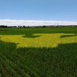 Mongolian Ethnic Cultural Village - Ulanhot