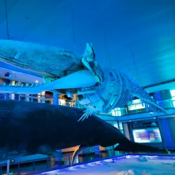 Liugong Island - Weihai