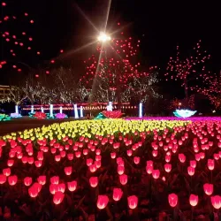 Weihai City Government Square - Weihai