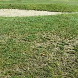 Weihai International Golf Club - Weihai