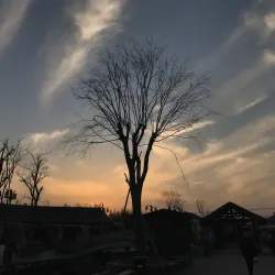 Jingyang Ridge - Weinan