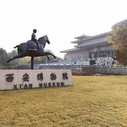 Weinan Museum - Weinan