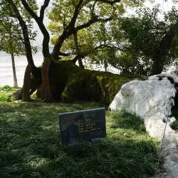 Jiangxin Island - Wenzhou