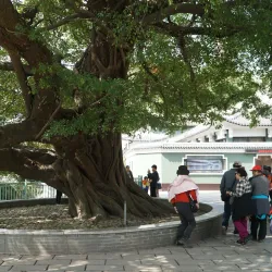 Jiangxin Island - Wenzhou