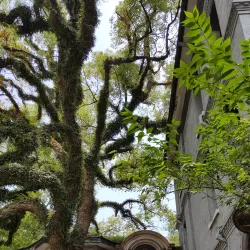 Jiangxin Park - Wenzhou