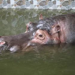 Wenzhou Zoo - Wenzhou