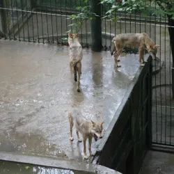 Wenzhou Zoo - Wenzhou