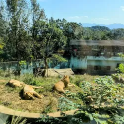 Wenzhou Zoo - Wenzhou