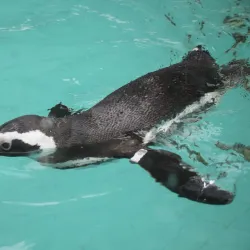 Wenzhou Zoo - Wenzhou