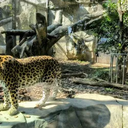 Wenzhou Zoo - Wenzhou