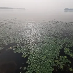 East Lake (Donghu) - Wuhan