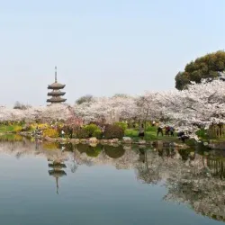 East Lake (Donghu) - Wuhan