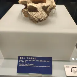 Hubei Provincial Museum - Wuhan