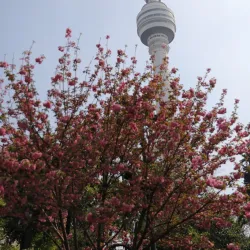 Tortoise Mountain TV Tower - Wuhan