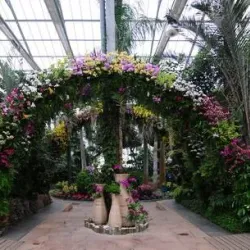 Wuhan Botanical Garden - Wuhan