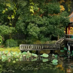 Wuhan Botanical Garden - Wuhan