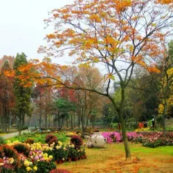 Wuhan Botanical Garden - Wuhan