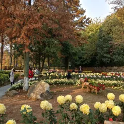 Wuhan Botanical Garden - Wuhan