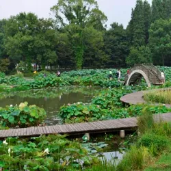 Wuhan Botanical Garden - Wuhan