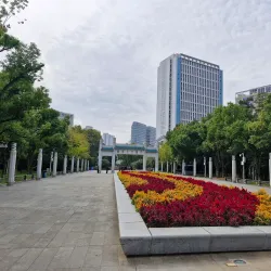 Wuhan University - Wuhan