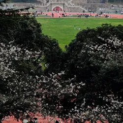 Wuhan University - Wuhan