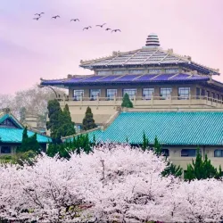 Wuhan University - Wuhan
