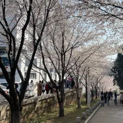 Wuhan University - Wuhan