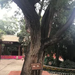 Wuwei Confucian Temple - Wuwei