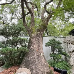 Jichang Garden - Wuxi