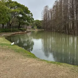 Yuantouzhu (Turtle Head Isle) Park - Wuxi