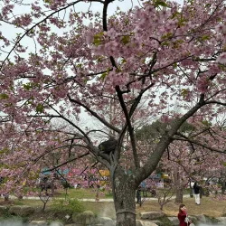 Yuantouzhu (Turtle Head Isle) Park - Wuxi