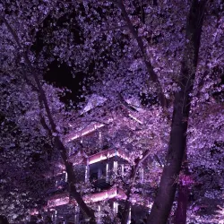 Yuantouzhu (Turtle Head Isle) Park - Wuxi