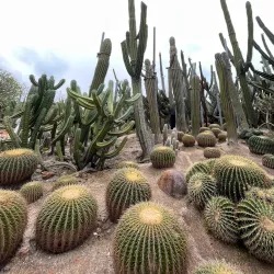 Xiamen Botanical Garden - Xiamen