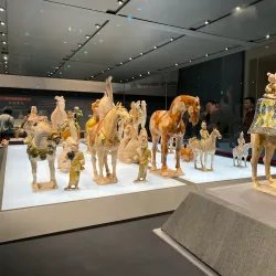 Shaanxi History Museum - Xi'an