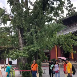 Guan Yu Temple - Xiangyang