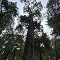 Xiangyang Confucius Temple - Xiangyang