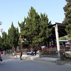 Xiangyang People's Park - Xiangyang