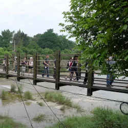 Ancient Bridge of Xin'an - Xin'an