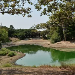Cultural Street of Xin'an - Xin'an