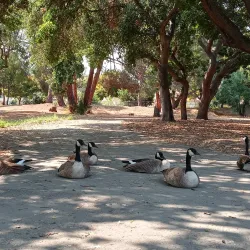 Cultural Street of Xin'an - Xin'an