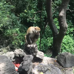 Qinglong Mountain Park - Xin'an