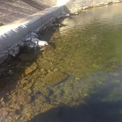 Xin'an River Scenic Area - Xin'an