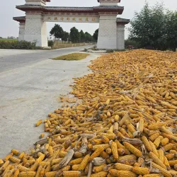 Xuchang Ancient City Wall - Xuchang