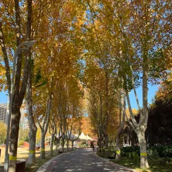 Xuchang Botanical Garden - Xuchang